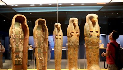 Une exposition sur l'Egypte ancienne invite les chats à découvrir les reliques