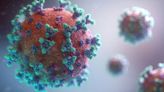 Novel Sensor Enables the Real-Time Detection of Infectious Disease Viruses