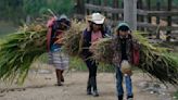 A woman will likely be Mexico’s next president. But in some Indigenous villages, men hold the power.