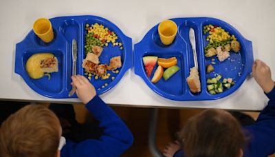 Healthy childhood diet keeps dementia away, scientists say