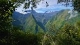 À La Réunion, un «laboratoire» pour s'adapter au changement climatique