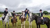 Beloved alpacas join horses, sheep and best-dressed dogs for 52nd Kilmacanogue Show