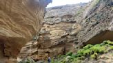 Dr. Seuss meets Zion on this wild California hike