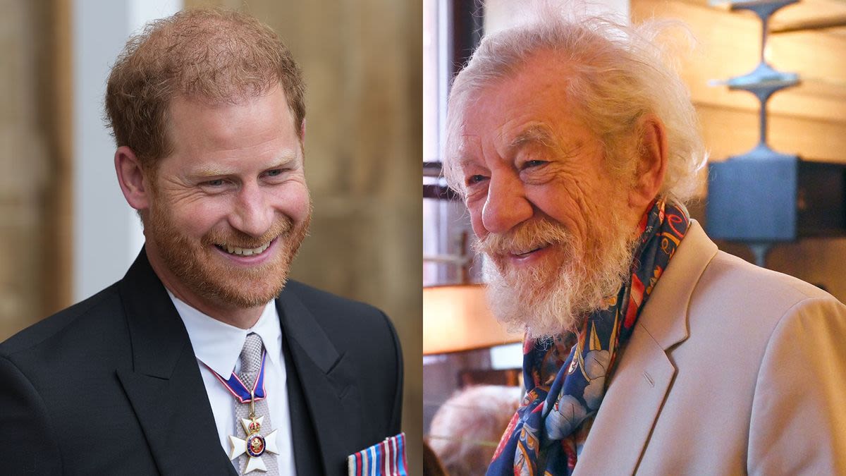 Sir Ian McKellen Says He's "Most Definitely" on Prince Harry's Side When It Comes to the Royal Feud