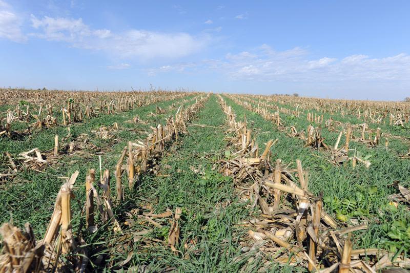 Iowa farmer: House Farm Bill misses the mark on conservation funding