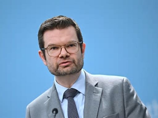 AfD-Spionageaffäre: Marco Buschmann glaubt nicht an Einzelfall