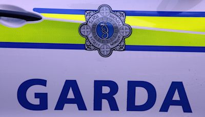 Gardaí arrest nine people in connection with Dublin riots following city search