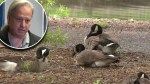 New Jersey town wants to gas geese to death over poop-filled park despite protests