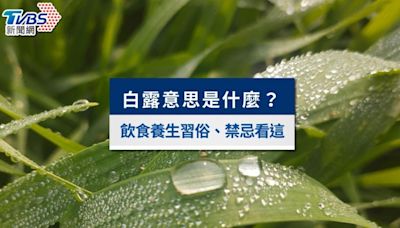 2024白露節氣》白露意思是什麼？飲食養生習俗、禁忌一次看│TVBS新聞網