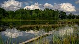 A Walk in the Park: Valhalla Park in Holt is a summer swim spot with nature trails and more