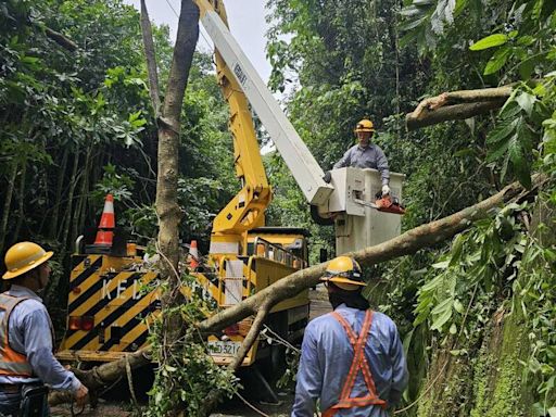 凱米過後台中還有8戶停電 台電拚今復電