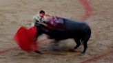 Spanish bullring to let children in free as 'best introduction' to bullfighting
