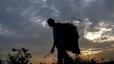 Zero To Hero: Debt-Ridden Labourer In Madhya Pradesh Becomes Millionaire Overnight