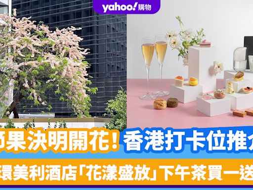 香港賞花｜節果決明開花！打卡位推介 大角咀櫻桃街/中環美利酒店「花漾盛放」下午茶買一送一優惠