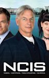 NCIS - Season 11