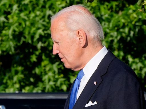 Cuatro demócratas se suman para pedir a Biden se haga a un lado de la contienda electoral - El Diario NY