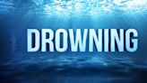 Lewis County man dead in apparent drowning