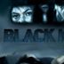 Black Ice (2007 film)