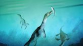 Redefining Marine Evolution: Oldest Sea Reptile Fossil in the Southern Hemisphere Discovered in New Zealand