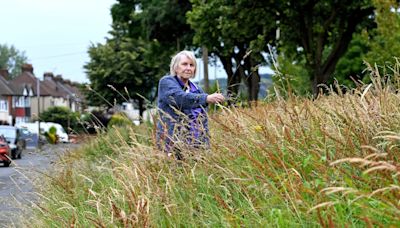 'It used to be beautifully maintained - now it's the forgotten land': Dismay at state of grass bank