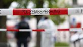 Man in Germany reports himself to police for killing someone