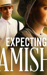 Expecting Amish