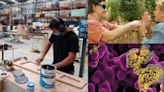 ¿Qué se celebra el 27 de junio? Hoy es Día de las Microempresas y las Pequeñas y...Personas Sordociegas y Día Mundial del Microbioma