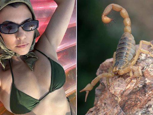 Kourtney Kardashian Was Once Stung by a Scorpion that Hid in Her Bikini Bottoms