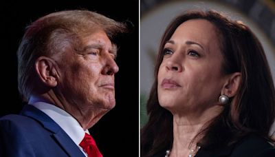 Analysis: The 2024 campaign will now turn on whether Trump can blunt Harris’ soaring start | CNN Politics