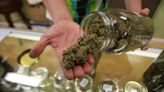 Pot Stocks Surge on Report DEA Set to Reclassify Marijuana