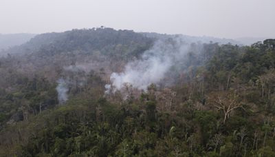 Suramérica acumula en lo que va de 2024 el mayor número de incendios forestales en 15 años