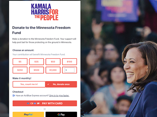 Kamala Harris-backed 'Freedom Fund' that put murderers, rapists back on streets still up and running