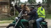 Just A Bear Riding In A Motorcycle Sidecar Waving To People