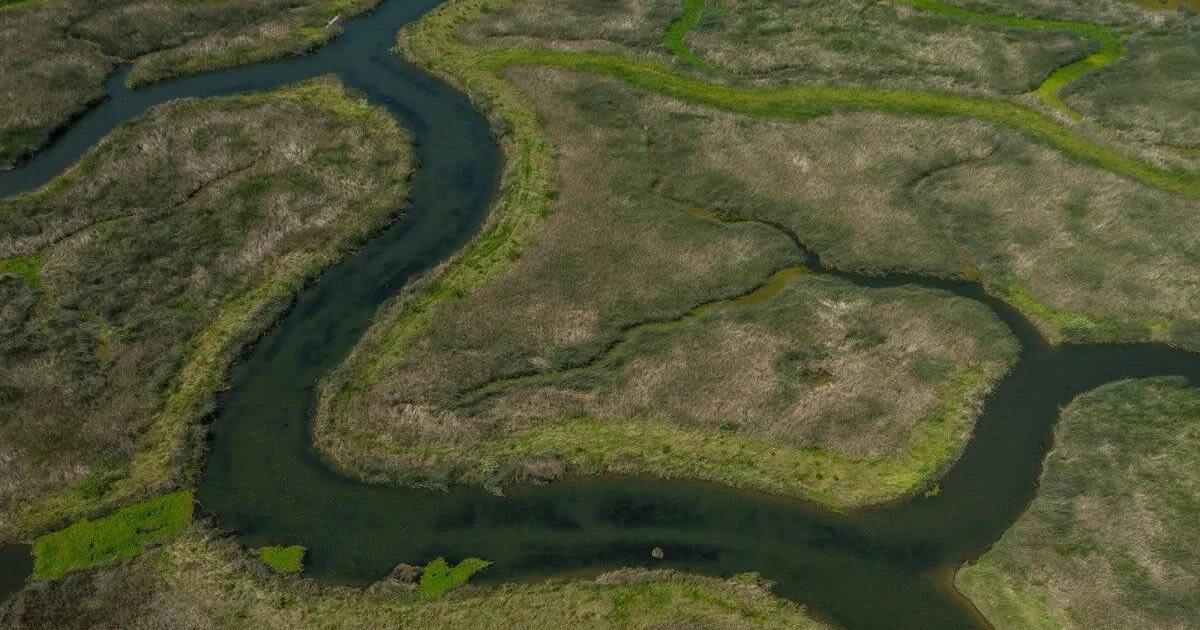 Decadeslong Delta tunnel water project may finally be nearing a historic decision | Dan Walters