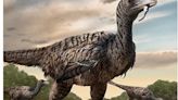 Megaraptor discovered in China may have rivaled velociraptors of 'Jurassic Park:' Study