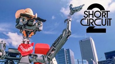 Short Circuit 2