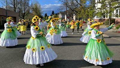 Samba OlyWa will bring the rhythm Saturday when Olympia’s Procession of the Species returns