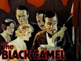 The Black Camel (film)