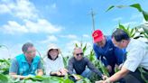 雲林縣豪雨倒伏玉米損失慘重 立委張嘉郡、丁學忠要求農業部救助