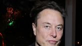 Elon Musk reinstates Trump's Twitter account