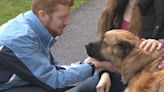 One-of-a-kind facility helps traumatized and fearful dogs learn to trust humans for the first time: Ready Pet GO!