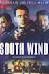 South Wind (film)