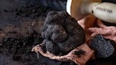 How truffles took root around the world