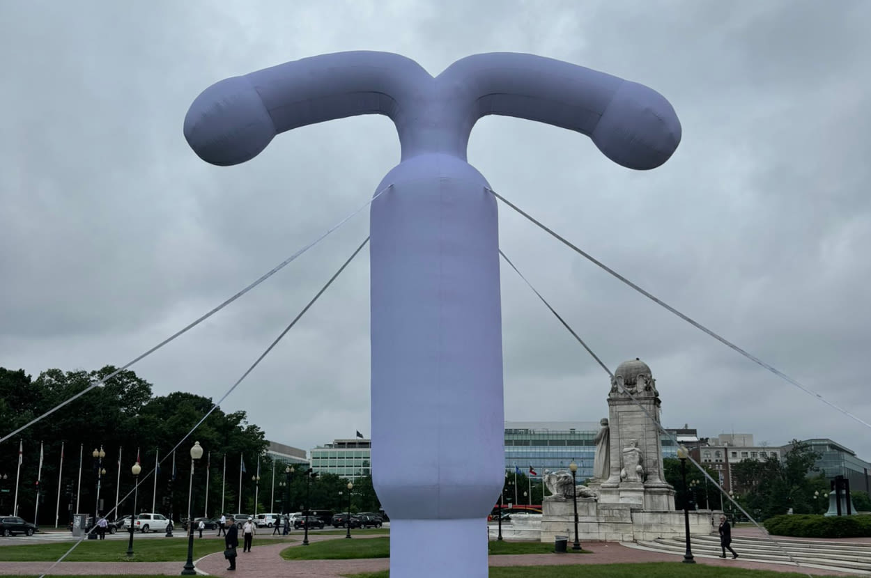 "Most Men Recognize It": People Are Reacting To A Giant IUD That's Just Been Inserted In Washington, DC