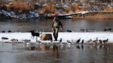 Montana Could Soon Open Waterfowl Hunting on a Closed Stretch of the Yellowstone River