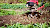 Tillers vs. Cultivators—Here's How to Choose the Right Tool for Your Gardening Task