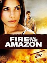 Fire on the Amazon