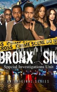 Bronx SIU