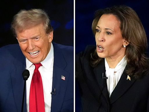 Snap poll after debate reveals state of presidential race between Trump and Harris