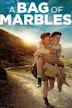 A Bag of Marbles (2017 film)